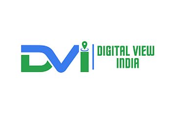 DigitalViewIndia-top-IT-company-in-ludhiana