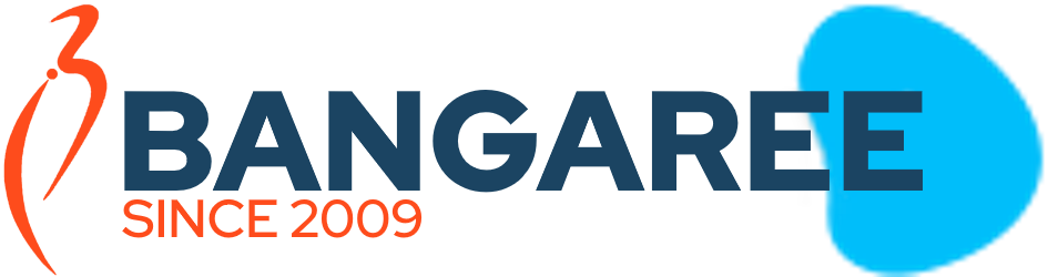bangaree-top-IT-company-in-ludhiana