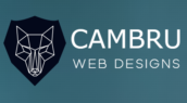 cambru-top-IT-company-in-ludhiana