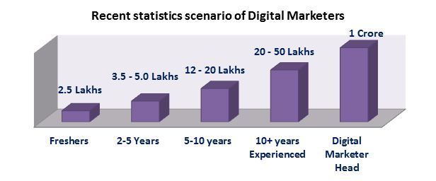 Digital Marketers Statistics