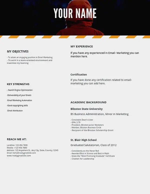 Email Marketing Resume Sample