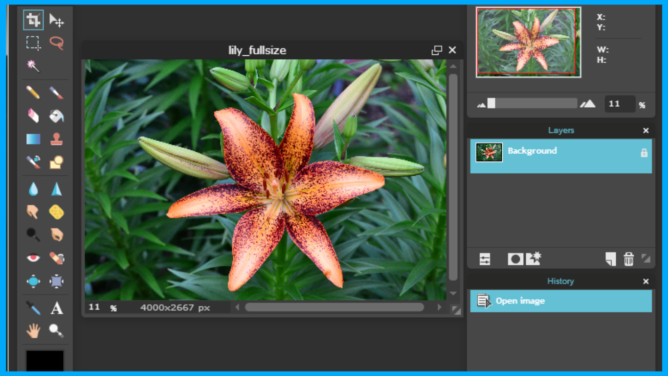 graphic-designing-software-pixlr-1