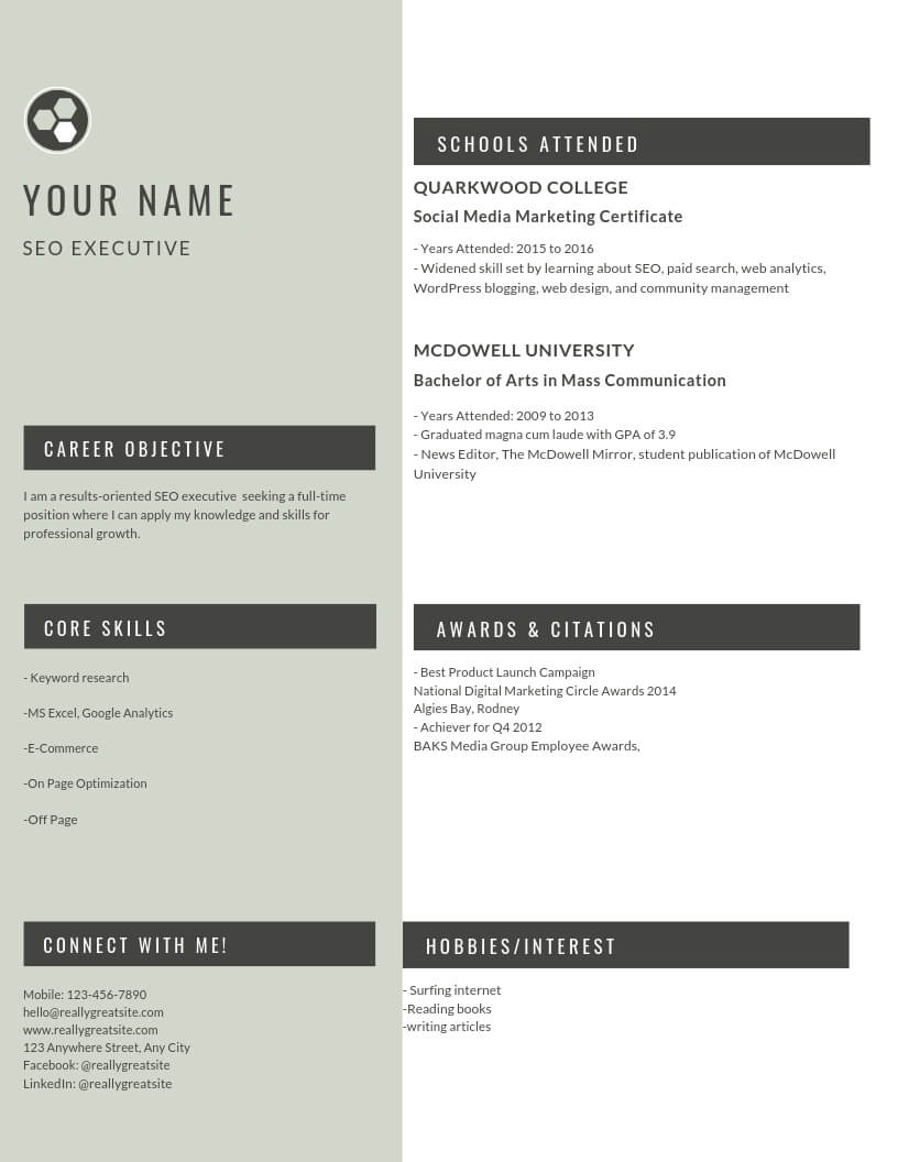 SEO Executive Resume Sample